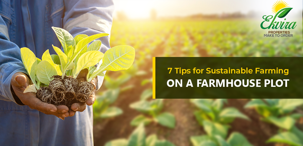 7 Tips for Self Sufficiency Farming on a Farmhouse Plot